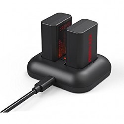 Sony NP-FZ100 battery charger rental in Avignon – ONEWAY